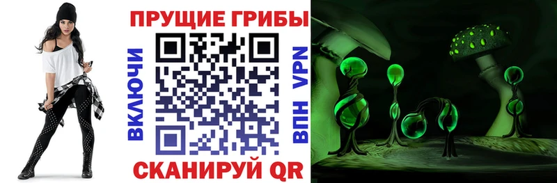 МЕГА tor  Красный Кут  Псилоцибиновые грибы ЛСД 